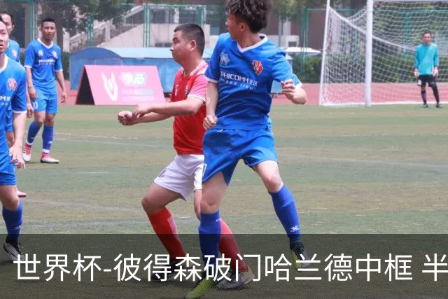 世界杯-彼得森破门哈兰德中框 半场挪威1-0塞内加尔